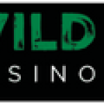 Wild casino